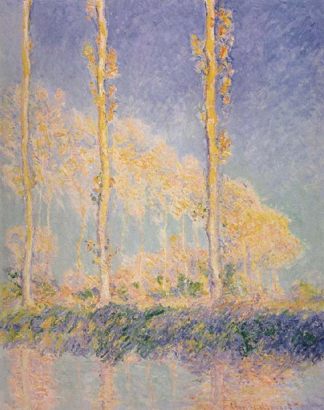 Claude Monet Three Poplars,Autumn Effect oil painting picture